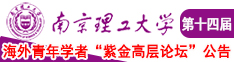 大雷白虎自摸南京理工大学第十四届海外青年学者紫金论坛诚邀海内外英才！